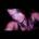 Romolo38Birkenhead's Avatar